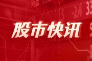 信通電子：網(wǎng)上發(fā)行中簽率為0.0237402601%